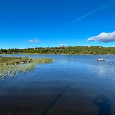 Leilighet In Out Stavisetten, Kikut